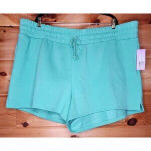 Women Wild Fable Shorts Mint Green 3X Pockets 4 inch inseam